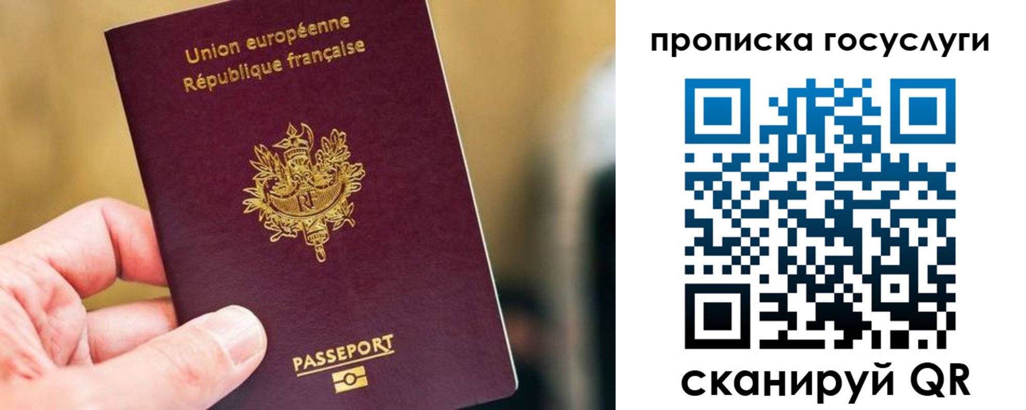 временная регистрация поиск в Ярославской области